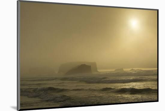 Sunset, sea stacks, Bandon by the Sea, USA-Michel Hersen-Mounted Photographic Print