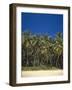 Sunset, Sea-Thonig-Framed Photographic Print