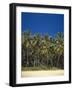 Sunset, Sea-Thonig-Framed Photographic Print