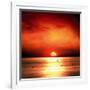 Sunset Sea-Jurek Nems-Framed Art Print