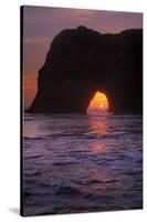 Sunset Seascape at Elephant Rock, Mendocino Coast California-Vincent James-Stretched Canvas