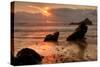 Sunset Seascape at Pfieffer Beach, Big Sur-Vincent James-Stretched Canvas