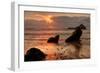 Sunset Seascape at Pfieffer Beach, Big Sur-Vincent James-Framed Photographic Print