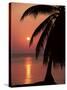 Sunset Seen from the Resort of West End on Roatan, Largest of the Bay Islands, Honduras, Caribbean-Robert Francis-Stretched Canvas