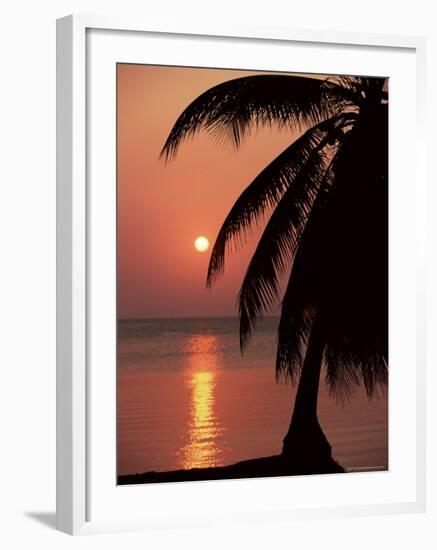 Sunset Seen from the Resort of West End on Roatan, Largest of the Bay Islands, Honduras, Caribbean-Robert Francis-Framed Photographic Print