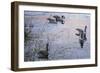 Sunset Serenity-Jeff Tift-Framed Giclee Print