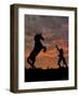 Sunset Silhouette-Barry Hart-Framed Giclee Print