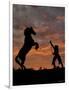 Sunset Silhouette-Barry Hart-Framed Giclee Print