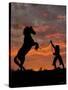 Sunset Silhouette-Barry Hart-Stretched Canvas