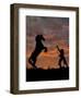 Sunset Silhouette-Barry Hart-Framed Art Print