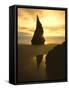 Sunset Silhouettes Seabird Atop Rock Pinnacle, Bandon Beach, Oregon, USA-Steve Terrill-Framed Stretched Canvas