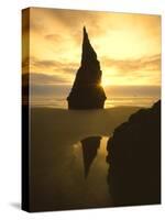 Sunset Silhouettes Seabird Atop Rock Pinnacle, Bandon Beach, Oregon, USA-Steve Terrill-Stretched Canvas