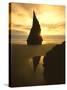 Sunset Silhouettes Seabird Atop Rock Pinnacle, Bandon Beach, Oregon, USA-Steve Terrill-Stretched Canvas