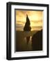 Sunset Silhouettes Seabird Atop Rock Pinnacle, Bandon Beach, Oregon, USA-Steve Terrill-Framed Photographic Print