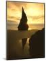 Sunset Silhouettes Seabird Atop Rock Pinnacle, Bandon Beach, Oregon, USA-Steve Terrill-Mounted Photographic Print