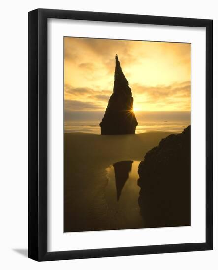 Sunset Silhouettes Seabird Atop Rock Pinnacle, Bandon Beach, Oregon, USA-Steve Terrill-Framed Photographic Print