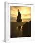 Sunset Silhouettes Seabird Atop Rock Pinnacle, Bandon Beach, Oregon, USA-Steve Terrill-Framed Photographic Print