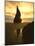 Sunset Silhouettes Seabird Atop Rock Pinnacle, Bandon Beach, Oregon, USA-Steve Terrill-Mounted Photographic Print