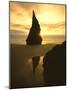 Sunset Silhouettes Seabird Atop Rock Pinnacle, Bandon Beach, Oregon, USA-Steve Terrill-Mounted Photographic Print