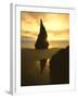 Sunset Silhouettes Seabird Atop Rock Pinnacle, Bandon Beach, Oregon, USA-Steve Terrill-Framed Photographic Print