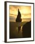 Sunset Silhouettes Seabird Atop Rock Pinnacle, Bandon Beach, Oregon, USA-Steve Terrill-Framed Photographic Print