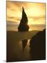 Sunset Silhouettes Seabird Atop Rock Pinnacle, Bandon Beach, Oregon, USA-Steve Terrill-Mounted Photographic Print