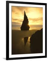 Sunset Silhouettes Seabird Atop Rock Pinnacle, Bandon Beach, Oregon, USA-Steve Terrill-Framed Photographic Print