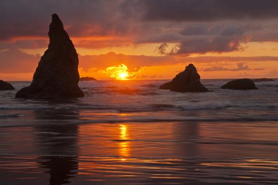 Premium Photographic Print, , large