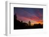 Sunset Sky and Atumn Trees Over Berkeley-Vincent James-Framed Photographic Print