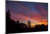 Sunset Sky and Atumn Trees Over Berkeley-Vincent James-Mounted Photographic Print