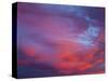 Sunset Sky-Jon Arnold-Stretched Canvas