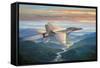 Sunset Sortie-John Bradley-Framed Stretched Canvas