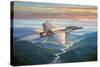 Sunset Sortie-John Bradley-Stretched Canvas