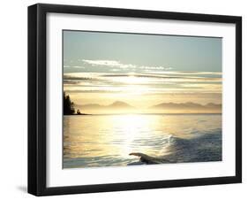 Sunset, Southeast Near Ketchikan, Alaska, Usa-Savanah Stewart-Framed Photographic Print