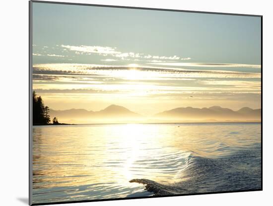 Sunset, Southeast Near Ketchikan, Alaska, Usa-Savanah Stewart-Mounted Photographic Print