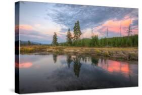 Sunset Stream, Gibbon River, Yellowstone-Vincent James-Stretched Canvas