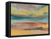 Sunset Study IX-Jennifer Goldberger-Framed Stretched Canvas