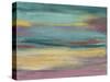 Sunset Study VII-Jennifer Goldberger-Stretched Canvas