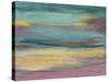 Sunset Study VII-Jennifer Goldberger-Stretched Canvas