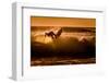 Sunset surfing-Sandi Bertoncelj-Framed Photographic Print