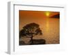 Sunset, Sveta Nedelja, Hvar Island, Croatia, Europe-Ken Gillham-Framed Photographic Print