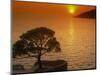Sunset, Sveta Nedelja, Hvar Island, Croatia, Europe-Ken Gillham-Mounted Photographic Print