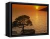 Sunset, Sveta Nedelja, Hvar Island, Croatia, Europe-Ken Gillham-Framed Stretched Canvas