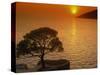 Sunset, Sveta Nedelja, Hvar Island, Croatia, Europe-Ken Gillham-Stretched Canvas
