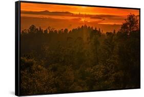Sunset Temple, Red Skies and Burn Over San Francisco from Oakland Hills-Vincent James-Framed Stretched Canvas