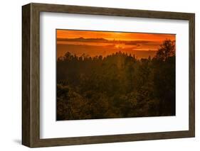 Sunset Temple, Red Skies and Burn Over San Francisco from Oakland Hills-Vincent James-Framed Photographic Print