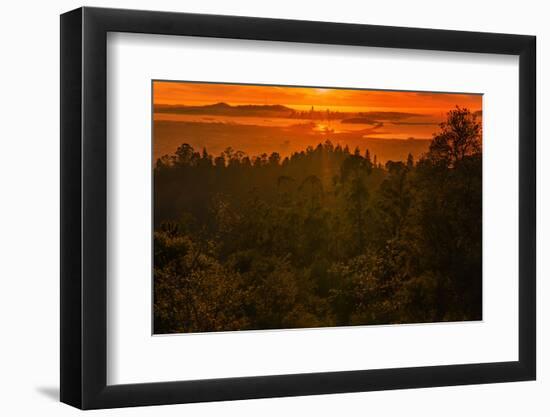 Sunset Temple, Red Skies and Burn Over San Francisco from Oakland Hills-Vincent James-Framed Premium Photographic Print