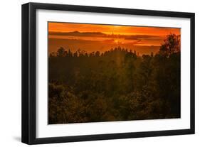 Sunset Temple, Red Skies and Burn Over San Francisco from Oakland Hills-Vincent James-Framed Photographic Print