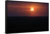 Sunset, Texas State, United States-null-Framed Stretched Canvas