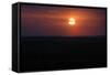 Sunset, Texas State, United States-null-Framed Stretched Canvas